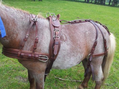 Bruin leren mini shet tuig, Dieren en Toebehoren, Paarden en Pony's | Hoofdstellen en Tuigage, Gebruikt, Overige soorten, Ophalen