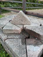 Bisschopsmuts heiderood 8 cm, Tuin en Terras, Ophalen, Gebruikt, Overige typen, 10 m² of meer
