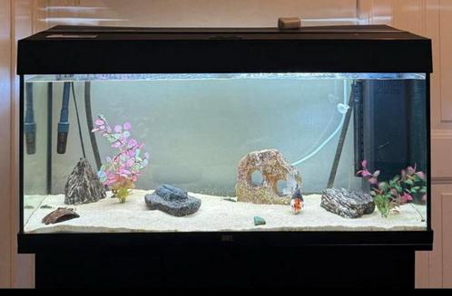 Aquarium juwel 180, Dieren en Toebehoren, Vissen | Aquaria en Toebehoren, Zo goed als nieuw, Gevuld zoetwateraquarium, Ophalen