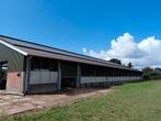 Complete bovenbouw stal, Dieren en Toebehoren, Stalling en Weidegang
