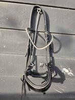 Hb showtime hoofdstel cob, Dieren en Toebehoren, Paarden en Pony's | Hoofdstellen en Tuigage, Ophalen of Verzenden, Dressuur