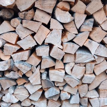 Droog Essen Hout - Blokken 30cm beschikbaar voor biedingen