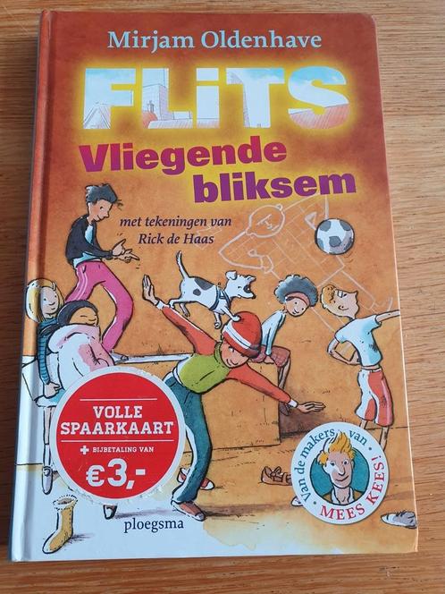 Flits vliegende bliksem, Boeken, Kinderboeken | Jeugd | 10 tot 12 jaar, Zo goed als nieuw, Ophalen of Verzenden