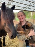 Verzorgster aangeboden verzorgpaard gezocht, Dieren en Toebehoren, Paarden en Pony's | Overige Paardenspullen, Ophalen of Verzenden