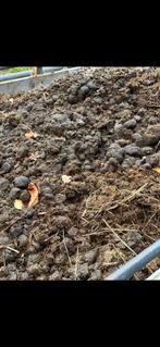 Gratis mest omgeving Blijham, Ophalen of Verzenden, Mest