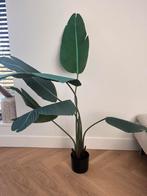 Kunstplant Fejka Ikea, 130 cm hoog., Huis en Inrichting, Woonaccessoires | Kunstplanten en Kunstbloemen, Ophalen, Zo goed als nieuw