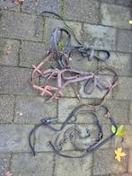 Paarden hoofdstellen, Dieren en Toebehoren, Ophalen, Overige soorten