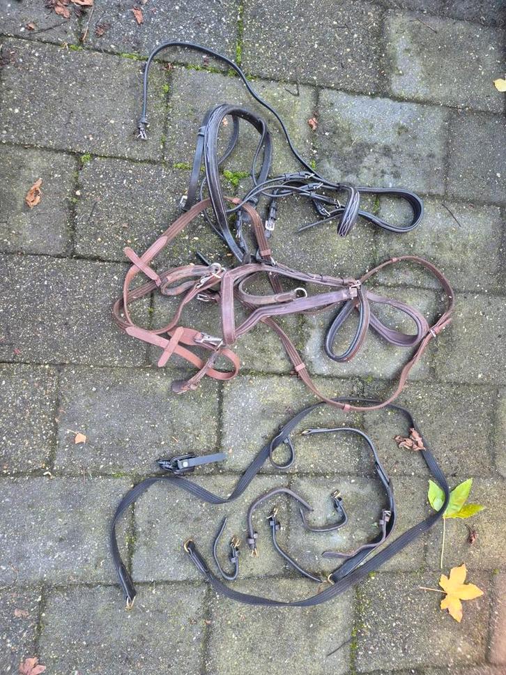 Paarden hoofdstellen, Dieren en Toebehoren, Paarden en Pony's | Hoofdstellen en Tuigage, Overige soorten, Ophalen