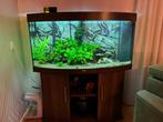 Aquarium jewel vision 260 panorama te koop, Dieren en Toebehoren, Ophalen, Gebruikt, Leeg aquarium