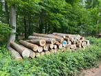 Beukenstammen leverbaar | Volle vrachten stamhout beuk, Tuin en Terras, Haardhout, 6 m³ of meer, Verzenden, Beukenhout, Stammen