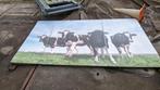 Aluminium platen met 4 koeien., Schilderij, 125 cm of meer, Zo goed als nieuw, Ophalen