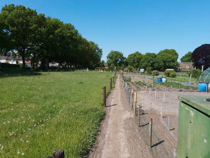 Volkstuin te huur, Tuin en Terras, Overige Tuin en Terras, Ophalen