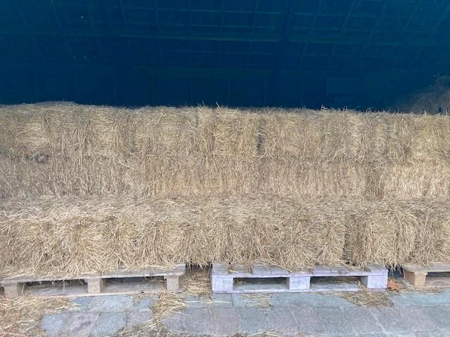 Kleine pakken hooi, Dieren en Toebehoren, Dierenvoeding, Vee, Ophalen