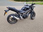 Suzuki SV650S van 2023, Motoren, 2 cilinders, Motorrijbewijs A, Particulier, Meer dan 35 kW