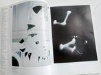 Kurt Schwitters Gerrit Rietveld Alexander Calder Vasarely, Boeken, Zo goed als nieuw, Verzenden