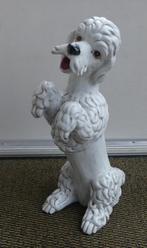 Poedel Italy aardewerk vintage beeld hond Italie, Antiek en Kunst, Kunst | Beelden en Houtsnijwerken, Ophalen