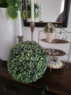 Grote Buxus Bol - 85cm Omtrek, Huis en Inrichting, Ophalen of Verzenden, Zo goed als nieuw, Binnen