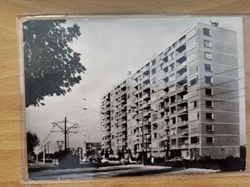 ansicht Molenvliet Rotterdam 1970 beschikbaar voor biedingen