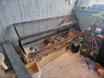 Mooi hamster hok(ZONDER INHOUD!) beschikbaar voor biedingen