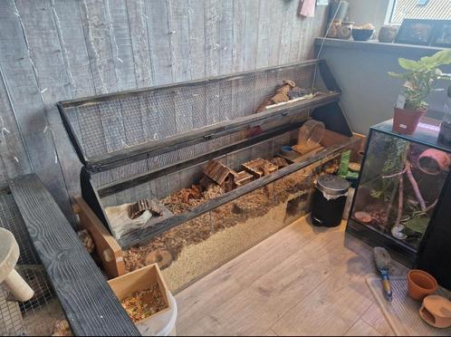 Mooi hamster hok(ZONDER INHOUD!), Dieren en Toebehoren, Knaagdieren en Konijnen | Hokken en Kooien, Zo goed als nieuw, Hok, Minder dan 60 cm