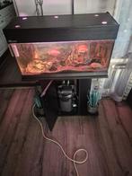 Aquarium compleet, Dieren en Toebehoren, Vissen | Aquaria en Toebehoren, Ophalen, Gebruikt, Gevuld zoetwateraquarium