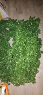 2 dozen guirlandes, Diversen, Kerst, Ophalen