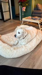 Honden mand, Ophalen of Verzenden, Zo goed als nieuw, Overige