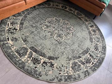 Groot vloerkleed met patroon – Volero, super mooi en schoon beschikbaar voor biedingen