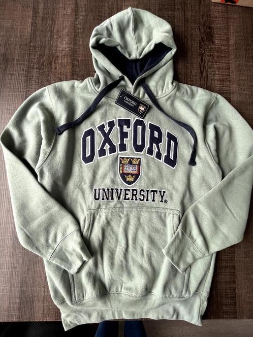 Nieuw Oxford trui / Hoodie groen maat XS, Kleding | Heren, Truien en Vesten, Nieuw, Maat 46 (S) of kleiner, Groen, Ophalen of Verzenden
