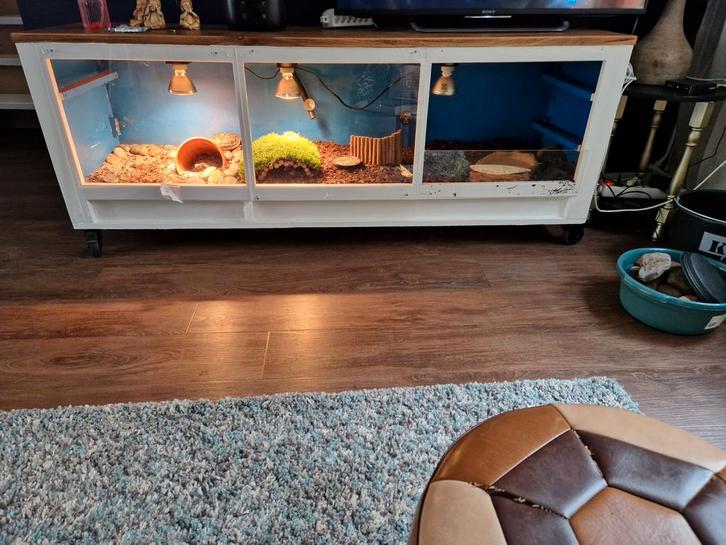 Terrarium landschildpad tv kast
