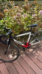 Marin - Argenta Racefiets - Small frame, Fietsen en Brommers, Fietsen | Racefietsen, Overige merken, Carbon, Ophalen of Verzenden