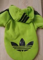 Vestjes hoodies truien jasjes voor kleine hond, Ophalen of Verzenden, Zo goed als nieuw, Hondentrui