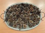 Mooie dennenappels voor decoratie of kerststukjes, Ophalen of Verzenden, Materiaal