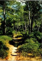 Gaasterland - 5 ansichtkaarten, Verzenden, 1980 tot heden, Ongelopen, Friesland