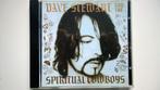 Dave Stewart And The Spiritual Cowboys - The Album, Ophalen of Verzenden, 1980 tot 2000, Zo goed als nieuw