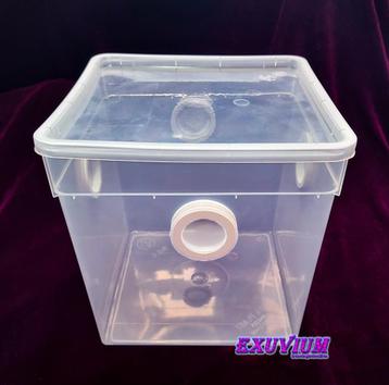 ontsnappingsbestendig isopodarium 5.8 L voor isopods beschikbaar voor biedingen