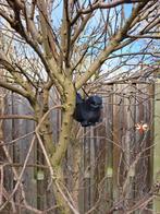 Geocaching vogel cache-container, Hobby en Vrije tijd, Overige Hobby en Vrije tijd, Ophalen of Verzenden, Nieuw