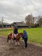 Bijrijdpony(s)/paard gezocht, bijrijders aangeboden, Dieren en Toebehoren, Ophalen of Verzenden, Nieuw