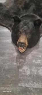 Zwarte berenvel - decoratief en uniek!, Huis en Inrichting, Gebruikt, Zwart, 150 tot 200 cm, Ophalen of Verzenden