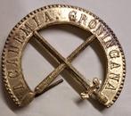 academia groningana universiteit groningen, Verzamelen, Speldjes, Pins en Buttons, Ophalen of Verzenden, Gebruikt, Overige onderwerpen