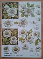 3D-Knipvel - PARRA-01 - Anemonen (3x), Ophalen of Verzenden, Nieuw, Knipvel