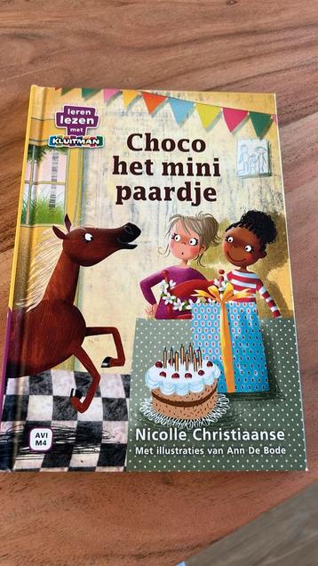 Nicolle Christiaanse - Choco het minipaardje beschikbaar voor biedingen