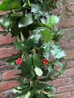 Hulst kerst slinger, Diversen, Kerst, Ophalen of Verzenden, Gebruikt