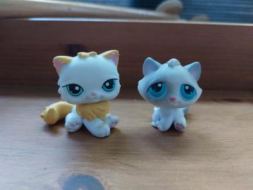 Littlest pet shop katten kat  beschikbaar voor biedingen