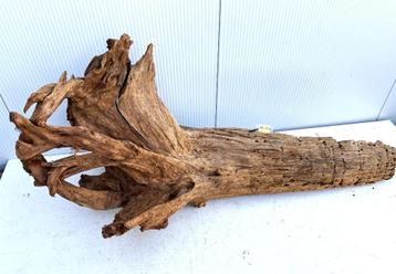 Grootste aquariumhout collectie van Nederland, zie onze site beschikbaar voor biedingen