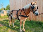 Ideal webtech tuig full, Dieren en Toebehoren, Paarden en Pony's | Hoofdstellen en Tuigage, Ophalen of Verzenden, Gebruikt, Overige soorten