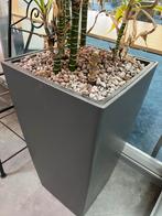 Kunststof plantenbak voor binnen beplanting, Tuin en Terras, Ophalen, Kunststof, Minder dan 60 cm, Vierkant