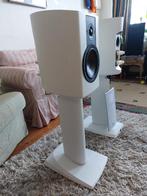 Dali Epicon 2; speakerset, Audio, Tv en Foto, Luidsprekers, Zo goed als nieuw, 120 watt of meer, Front, Rear of Stereo speakers