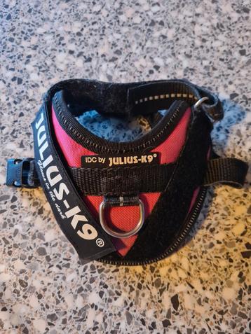 Julius k9 tuigje beschikbaar voor biedingen