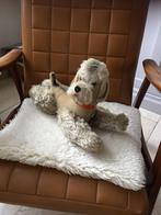 Hermann Teddy Original Poedel, Ophalen of Verzenden